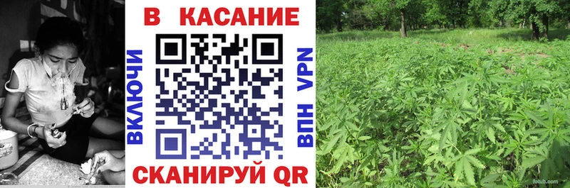 Магазины продажи наркотиков Чердынь МЕГА рабочий сайт Метамфетамин Alpha PVP ГАШ МЕФ Марихуана
