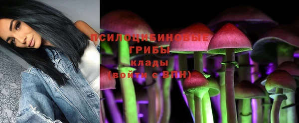 винт Магас
