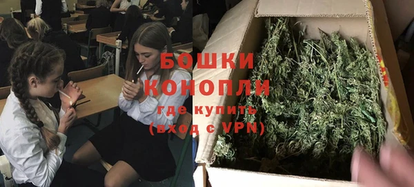 винт Магас