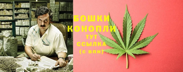винт Магас