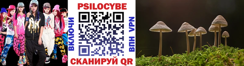 Псилоцибиновые грибы прущие грибы  Чердынь 